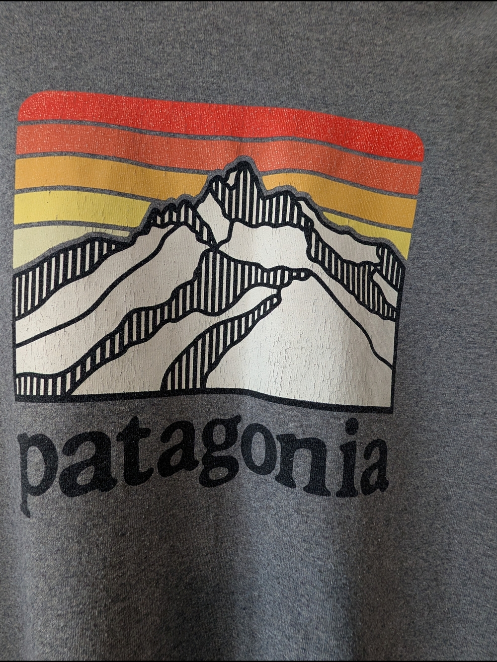Patagonia Men's Long-Sleeved Line Logo Ridge Responsibili-Tee